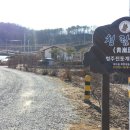 청주진도견연구소 이미지