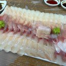 신호활어회초장