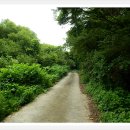 진덕농장 이미지