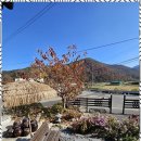 대구민박 이미지