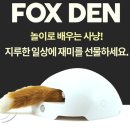 펫플릭 | 고양이 자동장난감 6종 후기 - 지랄나비, 로봇물고기, RC쥐블리, 플로리캣플릭, 플로리캣폭스덴, 캐치...