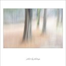 꿈꾸는 숲 이미지