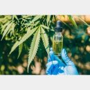 “코로나불면”의 개선에도 기대와 주목의 「CBD」란？ WHO도 인정한 대마초성분을 전문의가 해설 이미지