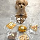 밥과 간식 | 울산 중구 반려동물 수제간식 전문점 콩밥밥 수제간식 후기