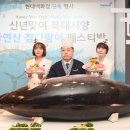 대서양참치 이미지