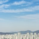 사랑의부동산공인중개사사무소 이미지