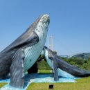 더웨이브 | 울산 장생포 더웨이브 후기｜전국 최초 이동형 미디어파사드 터널, 새로운 야간 관광명소