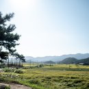 홍북읍 하산마을회관 | 화방산 : 삼화마을회관-형제바위-광대바위-정상-화방사-마을회관