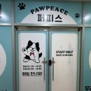 옥정우리유치원 | 양주강아지유치원 퍼피스 8개월 이용 찐후기!