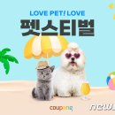 펫스티벌 뉴스1