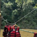 하방소 포레스트 이미지