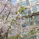 리가부동산공인중개사사무소 이미지