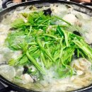 술독포차