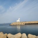 제주도 관광버스 대절 요금 제주 전세버스 여행 후기