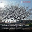 곽금초등학교 | 제주 애월 명소 곽금8경 버들못 유지부압 탐방
