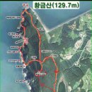 141차 진잠 대진 산악회 산행 안내(황금산) 이미지