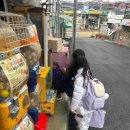 현대문구 이미지