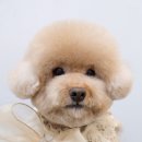 몽크의 아뜰리에 이미지