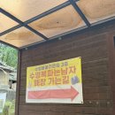 대구농업마이스터고등학교 | 대구농업마이스터고 수영장 후기 수영 초보 수린이