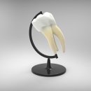 백석치과의원 이미지