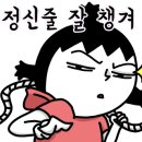 보듬펫 이미지