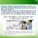 카라인 자동차정비 이미지