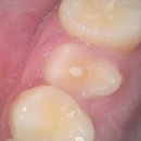 연세스토리치과의원 이미지