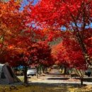 숲속에서 캠핑장 이미지