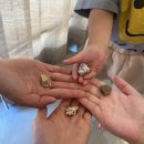 무주모모펜션 이미지