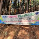 감천산림공원 이미지