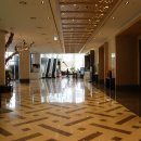 소노캄 고양 이미지