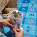 신흥종로약국 이미지