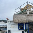 브리사 마리나 이미지