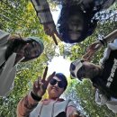 섬진강대나무숲길 이미지