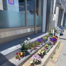 진주여자중학교 앞 이미지