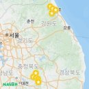 백두네비