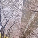 사덕상리 네이버블로그