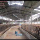 남해-284 이미지