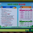 태화연 야영장 1 이미지