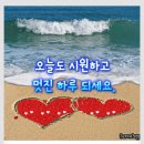 🌼세상은 보는 대로 느끼는 대로 이미지