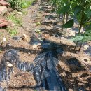 수원이용소 이미지