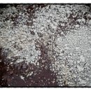 참들농장 이미지