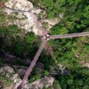 거창 항노화 힐링랜드 자연휴양림 이미지