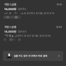 개캉스 살롱 이미지