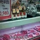 녹차먹인돼지 이미지