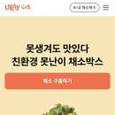 목화반점 이미지