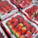 (주)천일식품노동조합 | 수원 이마트 트레이더스 3월2주 할인품목 추천