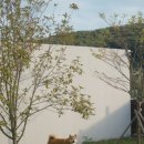 스테이 뭉구 이미지