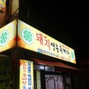 돼지영농후계자 이미지