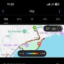 마장동고기집포항